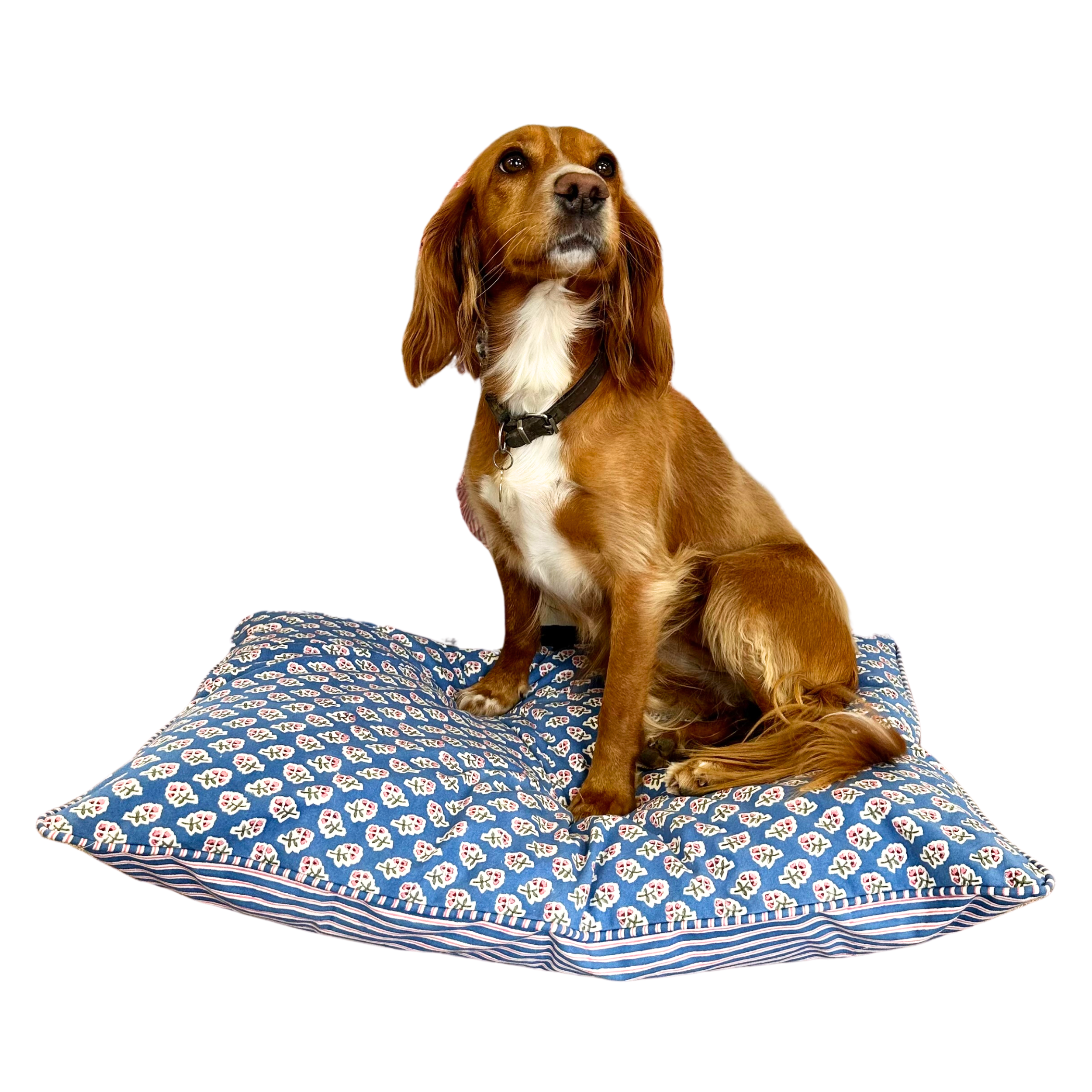 Azure Blue Ditsy Dog Bed