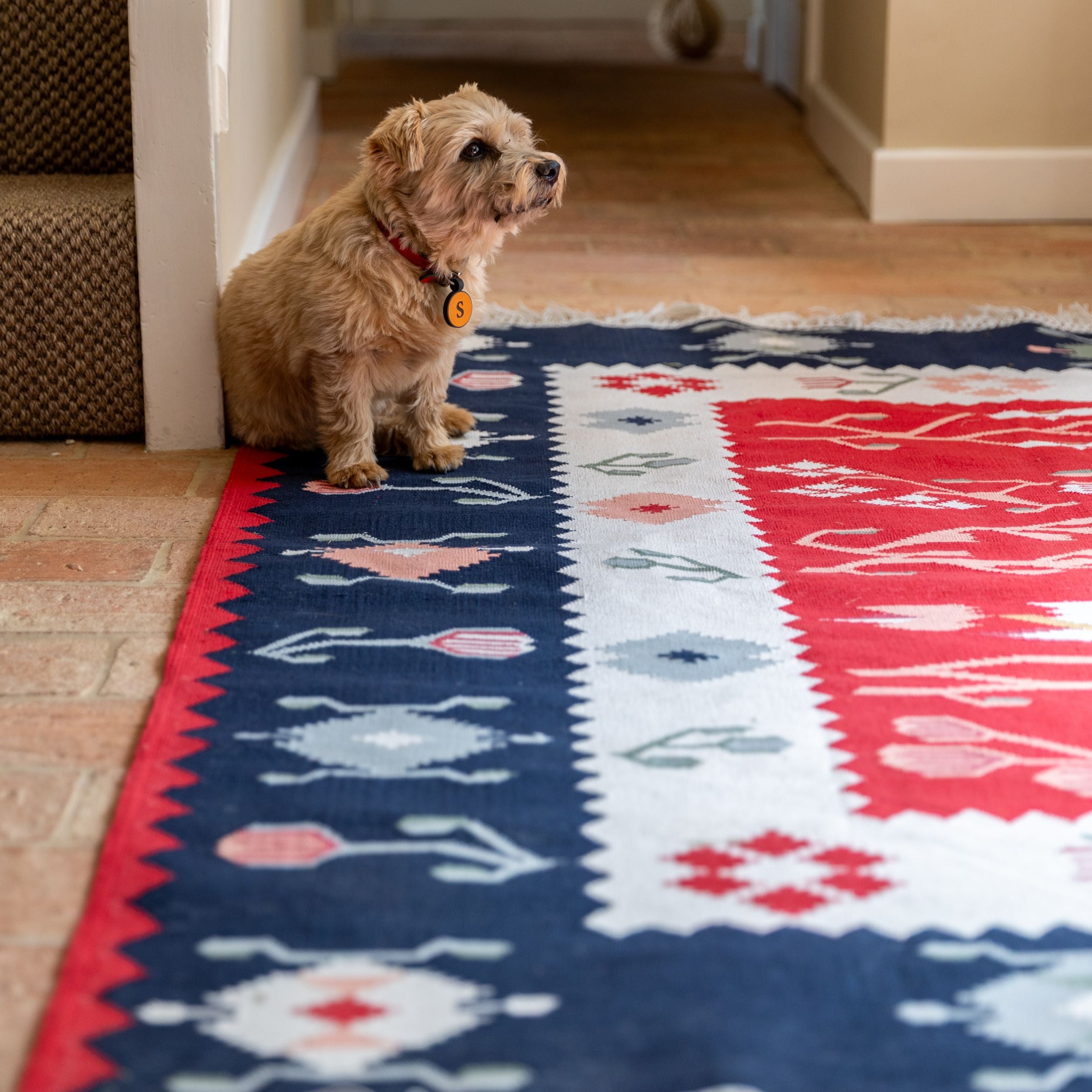 Meadow Rug in Navy and Red