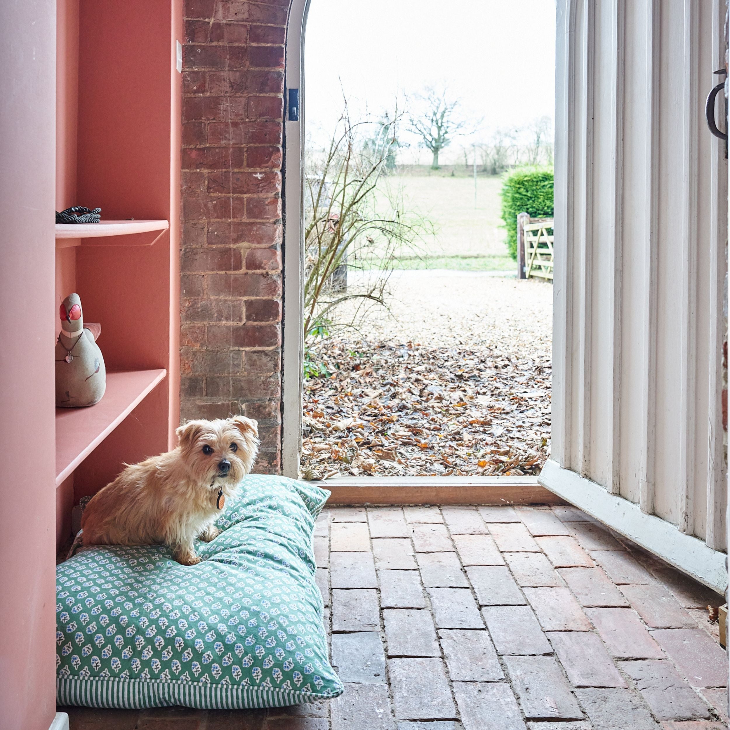 Apple Green Ditsy Dog Bed