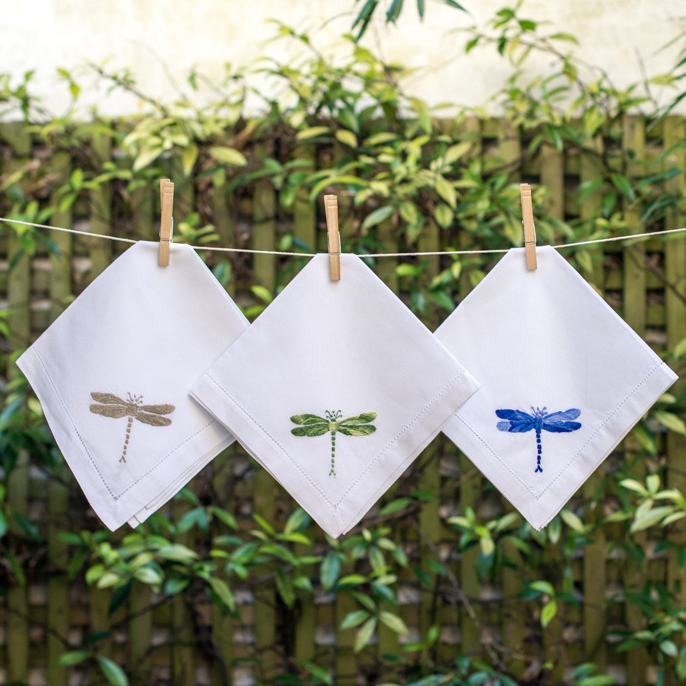 Dragonflies