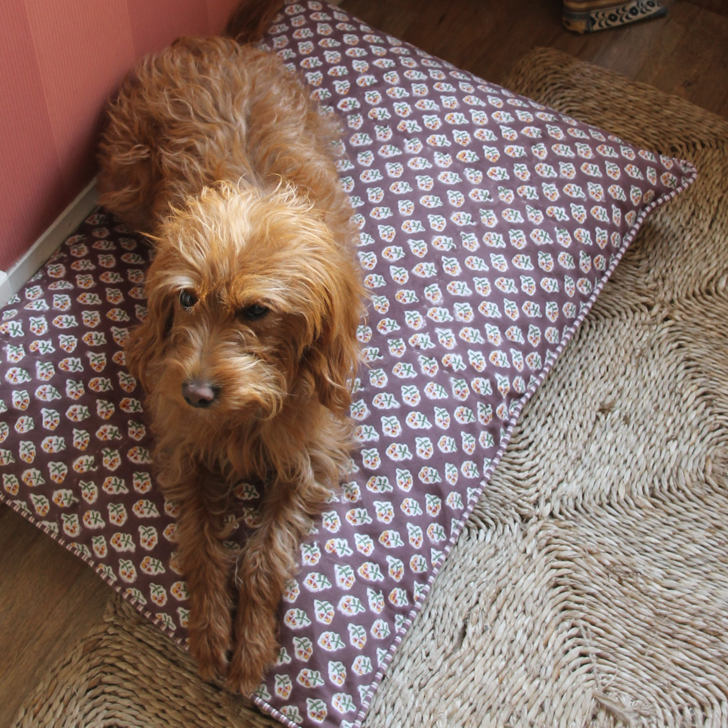 Dog sitting on a patterned rug with a textured rug and wooden floor in the background